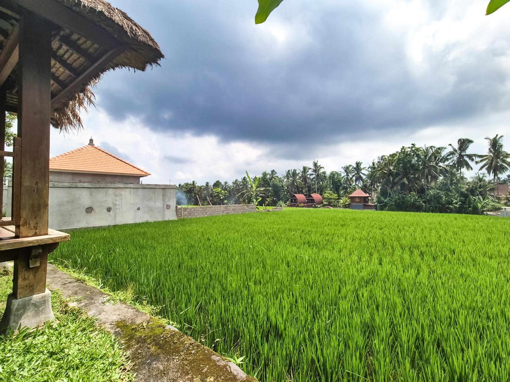 Villa Padi Menari Ubud Kültér fotó