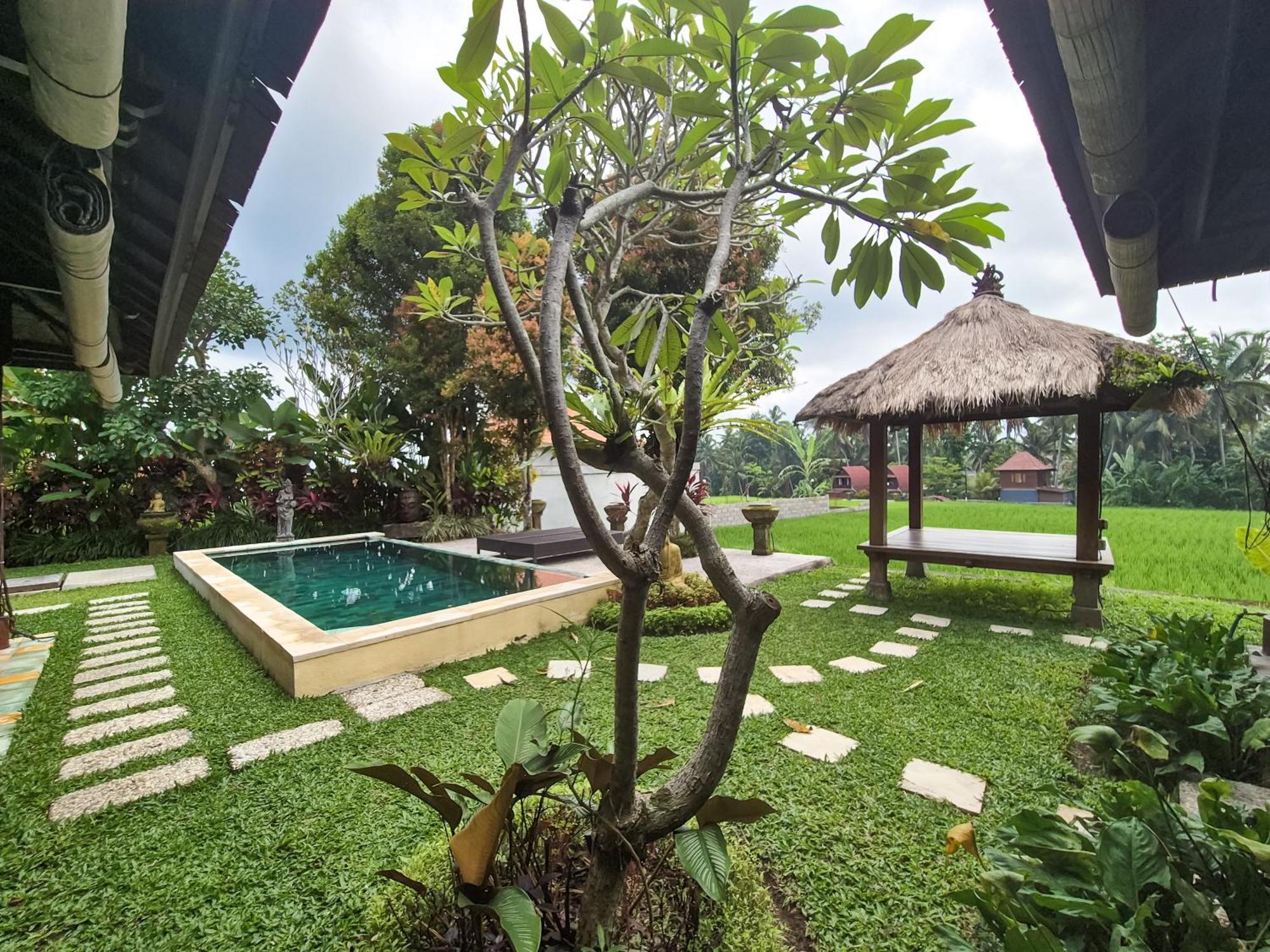 Villa Padi Menari Ubud Kültér fotó