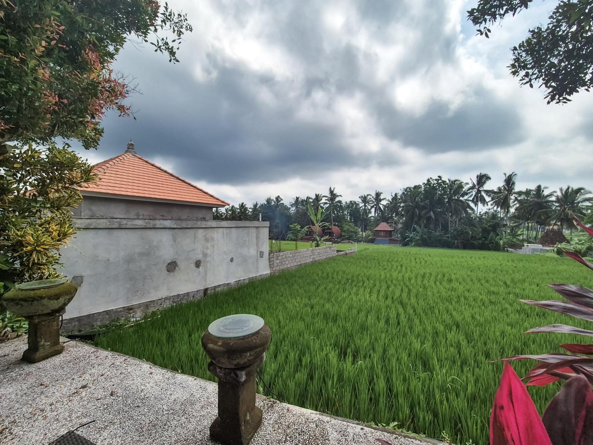 Villa Padi Menari Ubud Kültér fotó