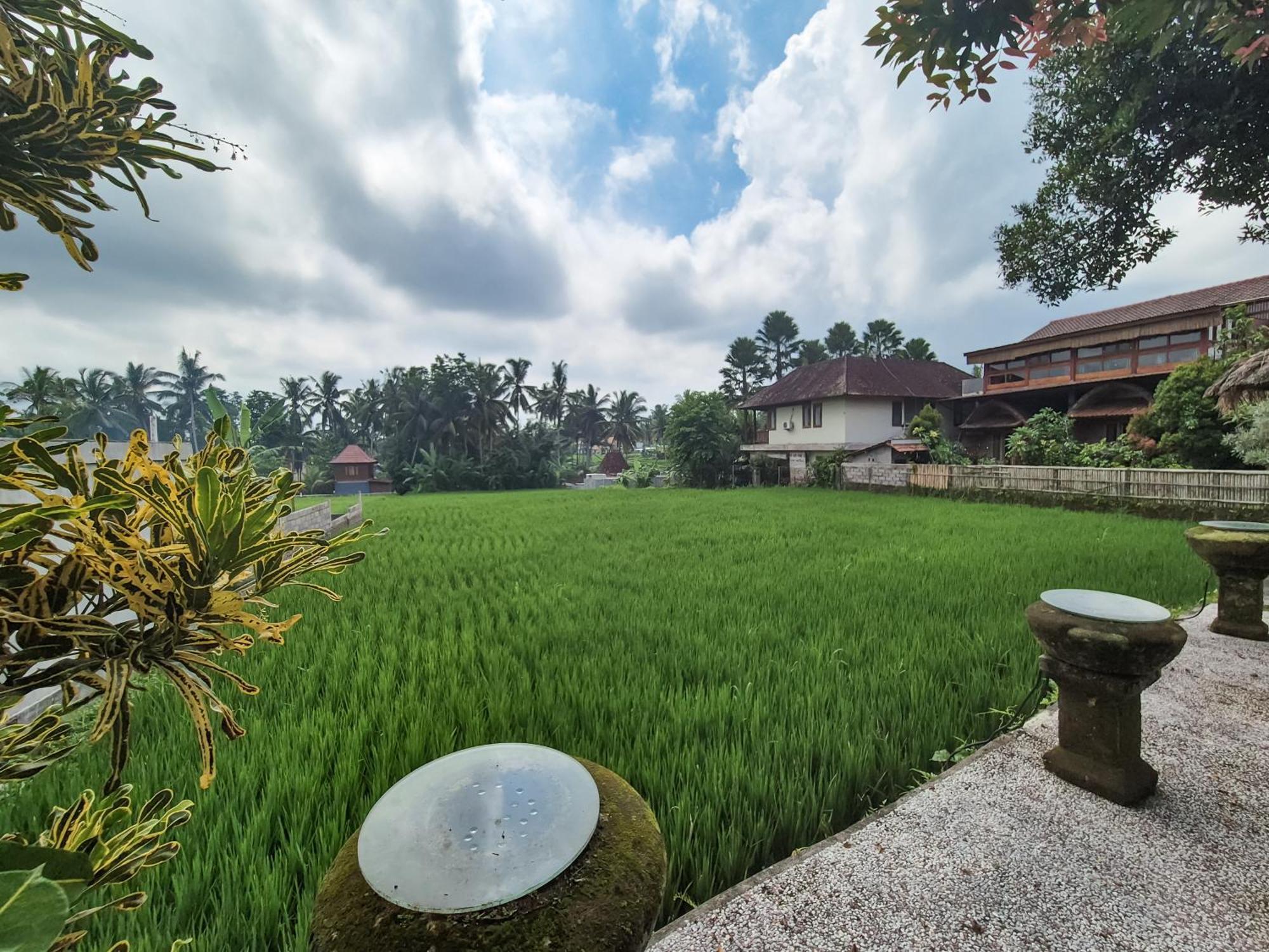 Villa Padi Menari Ubud Kültér fotó